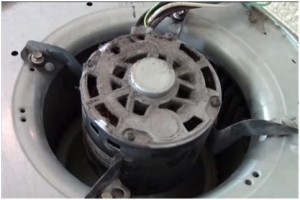 How To Replace a Furnace Blower Motor