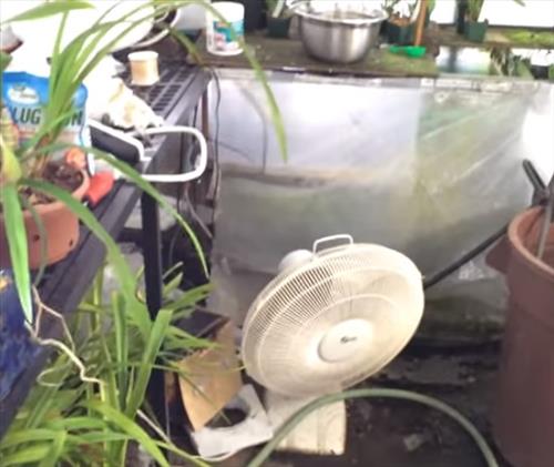 Best Heaters for a Greenhouse