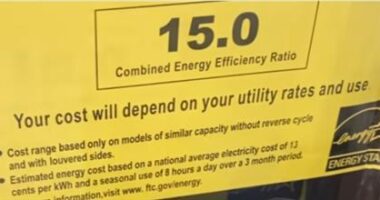 What Does a CEER Rating on an Air Conditioner Mean